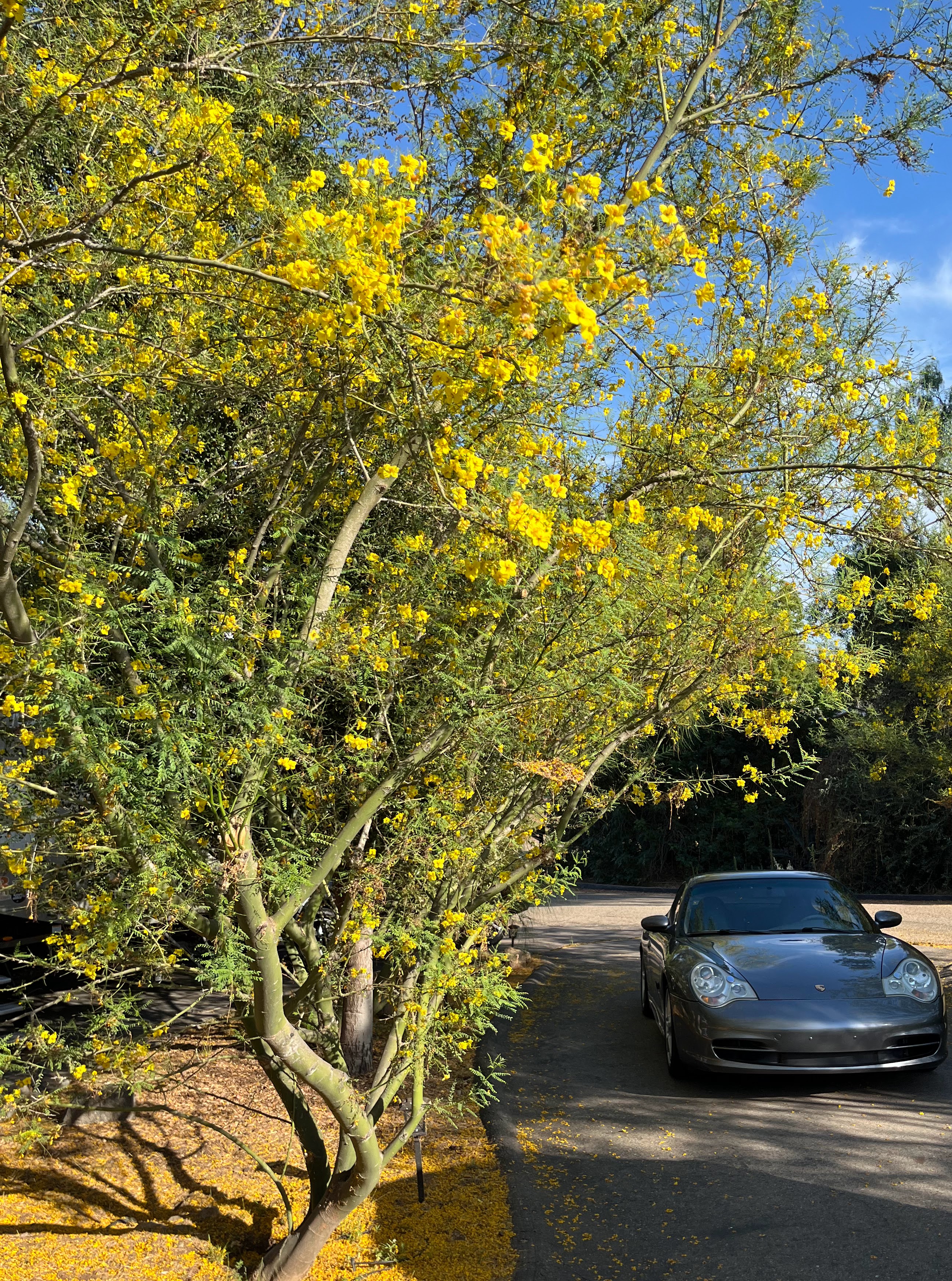 996_2